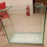 اکواریوم ماهی|ماهی|شیراز, تاچارا|دیوار