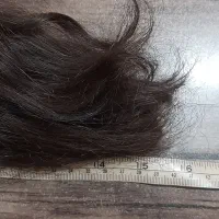 موی طبیعی سالم|آرایشی، بهداشتی، درمانی|ری, سرتخت|دیوار