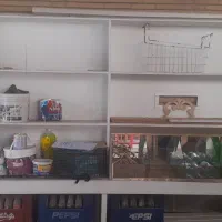 قفسه چوبی با چوب خارجی و دراورو ویترین|کتابخانه، شلف، قفسه‌های دیواری|اصفهان, باغ دریاچه|دیوار