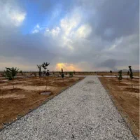زمین باغی سند دار|فروش زمین و ملک کلنگی|شاهین‌شهر, گرگاب|دیوار