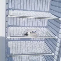 فریزر ایستاده کینو|فروشگاه و مغازه|اصفهان, شاهزاده ابراهیم|دیوار