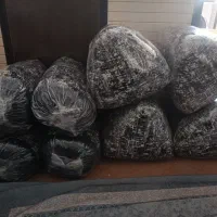 پشتی شاهنشین ۲ دست