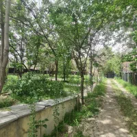 پیک موتوری یا ماشین برای ارسال غذا