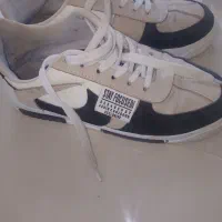 کتونی|کیف، کفش، کمربند|تالش, تالش|دیوار