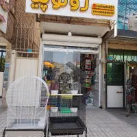 پت شاپ در پاکدشت