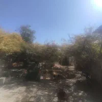 باغ خونه درخیابان مدنی|فروش خانه و ویلا|گلباف, |دیوار