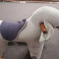 راکر فیل