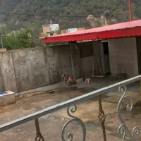 اجاره روزانه ویلایی در دل جنگل|اجارهٔ خانه و ویلا|نوده خاندوز, |دیوار