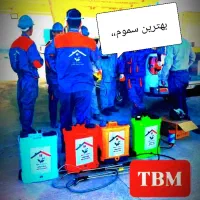 سم پاشی حشرات ...موریانه