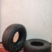 لاستیک پاترول