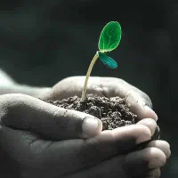 فرصت ویژه شغلی برای افرادباانگیر خواهان درامدبالا