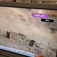ال سی دی سونی|تلویزیون و پروژکتور|تهران, نارمک|دیوار