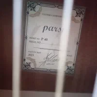 فروش فوری گیتار p40 + کیف|گیتار، بیس، امپلیفایر|رستم‌آباد, |دیوار