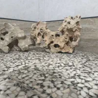 سنگ آکواریوم