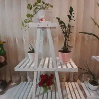 استند گل در حد نو