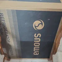 کارتن ساید اسنوا