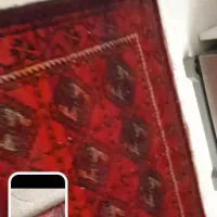 فرش دستباف|فرش|مشهد, حسابی جنوبی (شهرک غرب)|دیوار