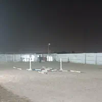 پانسیون اسب و نگهداری|اسب و تجهیزات اسب‌سواری|ری, فیروزآبادی|دیوار