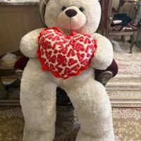 عروسک خرسی شاسخین