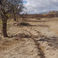 زمین روستای آقابزرگی|فروش زمین و ملک کلنگی|نیر (یزد), |دیوار