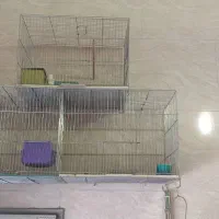 قفس پرون و معمولی تمیز در حد نو