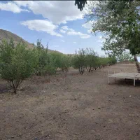 باغ واقع در روستای قز|فروش زمین و ملک کلنگی|سبزوار, کراب|دیوار