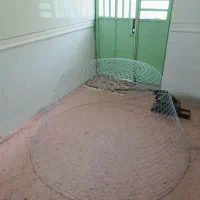 گرگور بافی محمدعلی نبییان