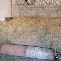 کاه|حیوانات مزرعه|سیلوانه, |دیوار