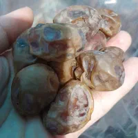 محبوب دلها برحی