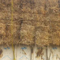 فروش کاه لوبیا کاه شالی