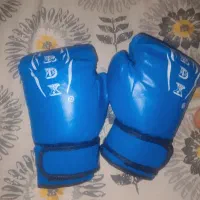 دسکش‌بوکس‌