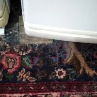 فرش 6متری کارکرده دستبافت|فرش|اردبیل, |دیوار