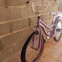 دوچرخه 20|دوچرخه، اسکیت، اسکوتر|فیروزآباد (فارس), |دیوار