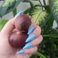 کاشت ناخن با طراحی های شیک و ظریف