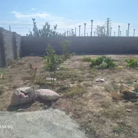 باغچه ۷۰۰متری بامجوز از جهادکشاورزی|فروش دفتر صنعتی، کشاورزی، تجاری|رباط‌کریم, نوده|دیوار