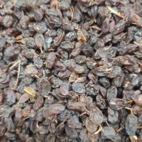 کشمش شیرین بی هسته خشک ،ارگانیک ومغذی