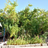 خانه ویلایی گلباف بنیاد|فروش خانه و ویلا|گلباف, |دیوار