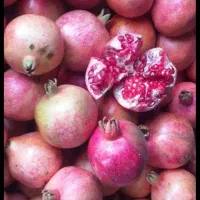 فروش انار|خوردنی و آشامیدنی|کلاشی, |دیوار