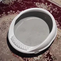 ظرف خاک گربه