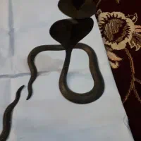 عتیقه جا شمعی ۲عدد