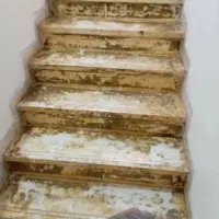 کفسابی سنگ ساب کفساب کف ساب سابزن|خدمات نظافت|ری, امین آباد|دیوار