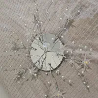 دو عدد لوستر سقفی