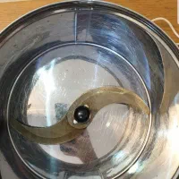 سبزی خردکن|خردکن، آسیاب، غذاساز|سمنان, |دیوار