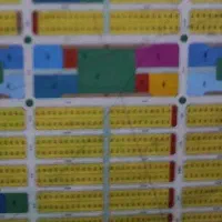 دوتا فیش شهرداری