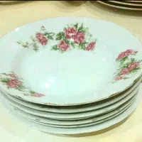 خورشت خوری گل سرخی