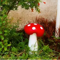 قارچهای تزئینی باغچه ای خاص وضد اب