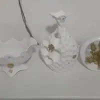 ظروف پذیرایی تزعیینی