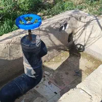 باغچه ۷۰۰متری با درختان مثمر (تنکمان)|فروش زمین و ملک کلنگی|کرج, کوی کارمندان جنوبی|دیوار