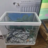 آکواریوم شرکتی|ماهی|قم, زنبیل آباد|دیوار