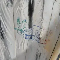 کفتر پرشی